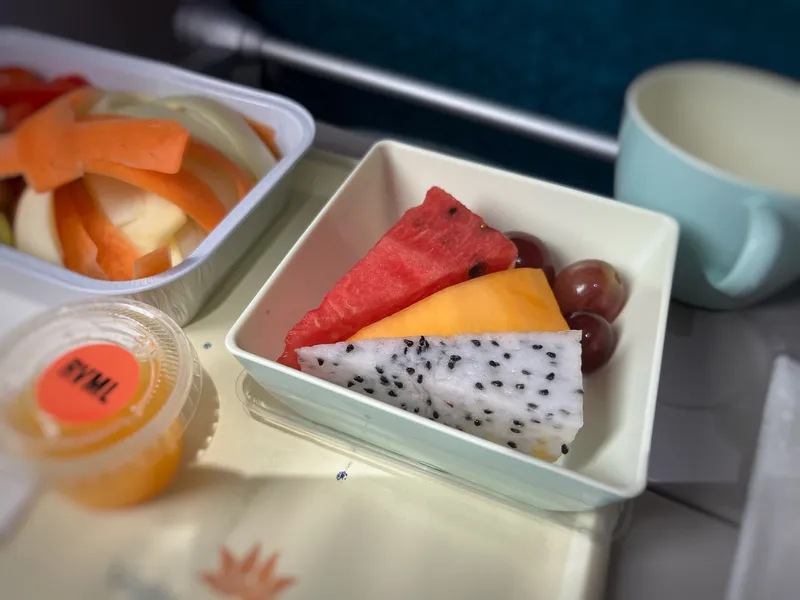 Economy meal tray